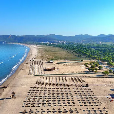 Modern At Perla Willa *